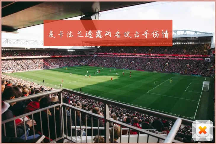 麦卡法兰透露两名攻击手伤情