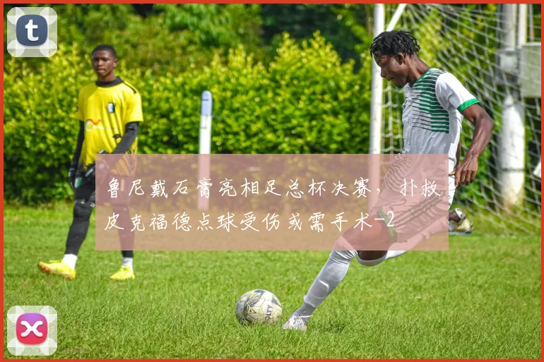 鲁尼戴石膏亮相足总杯决赛，扑救皮克福德点球受伤或需手术