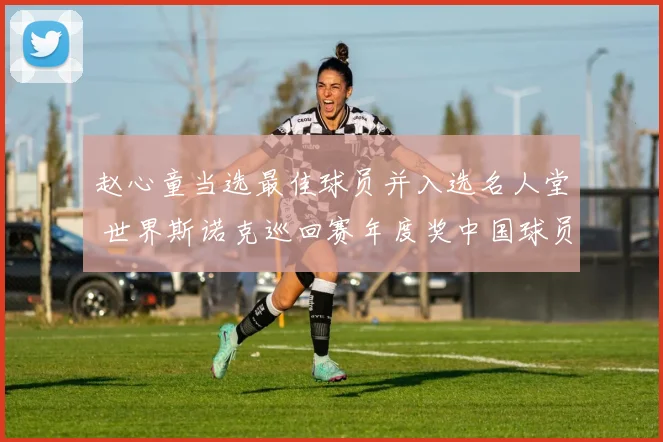 赵心童当选最佳球员并入选名人堂 世界斯诺克巡回赛年度奖中国球员“丰收”