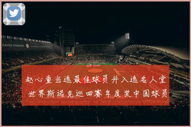 赵心童当选最佳球员并入选名人堂 世界斯诺克巡回赛年度奖中国球员“丰收”